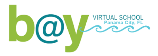 Bay Virtual Instruction Program logo