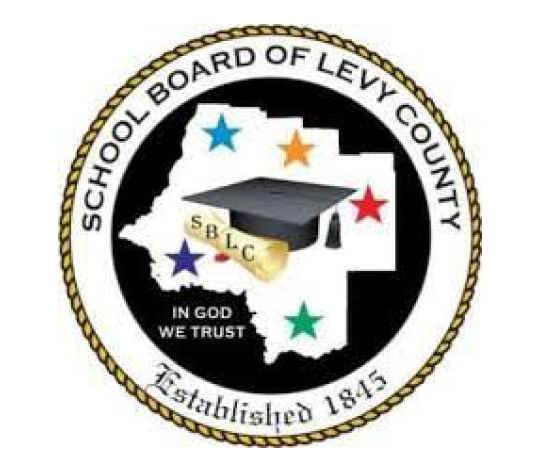 Levy Virtual Instruction Program logo