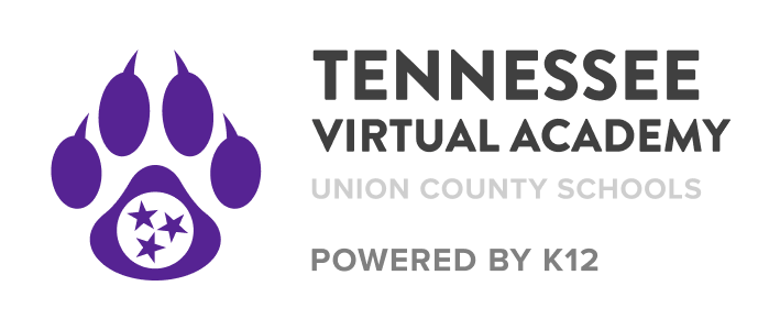 Tennessee Virtual Academy logo
