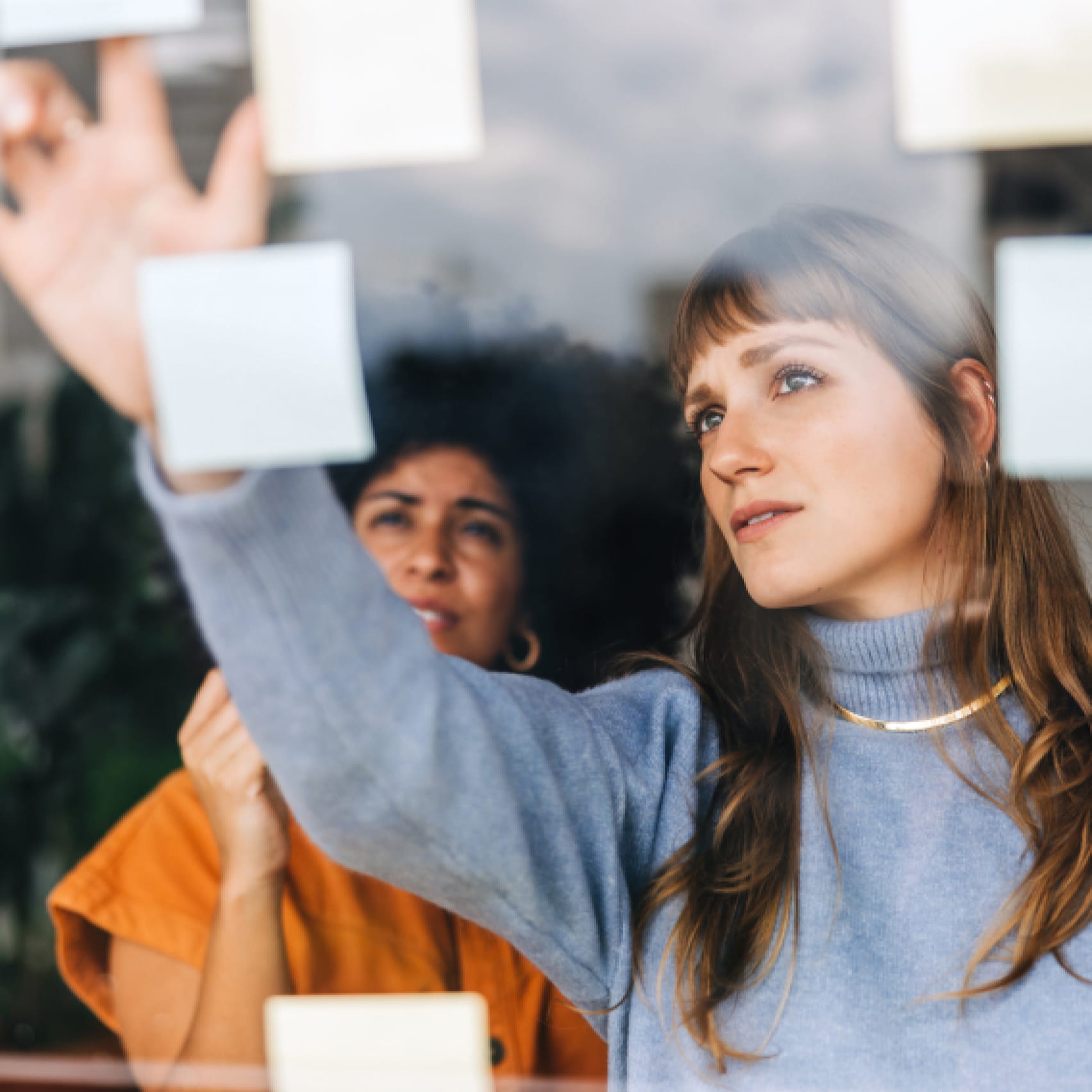 Graduate Success image 19 (name Big problem ahead No problem 568x568 copy)