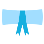 Certificate icon