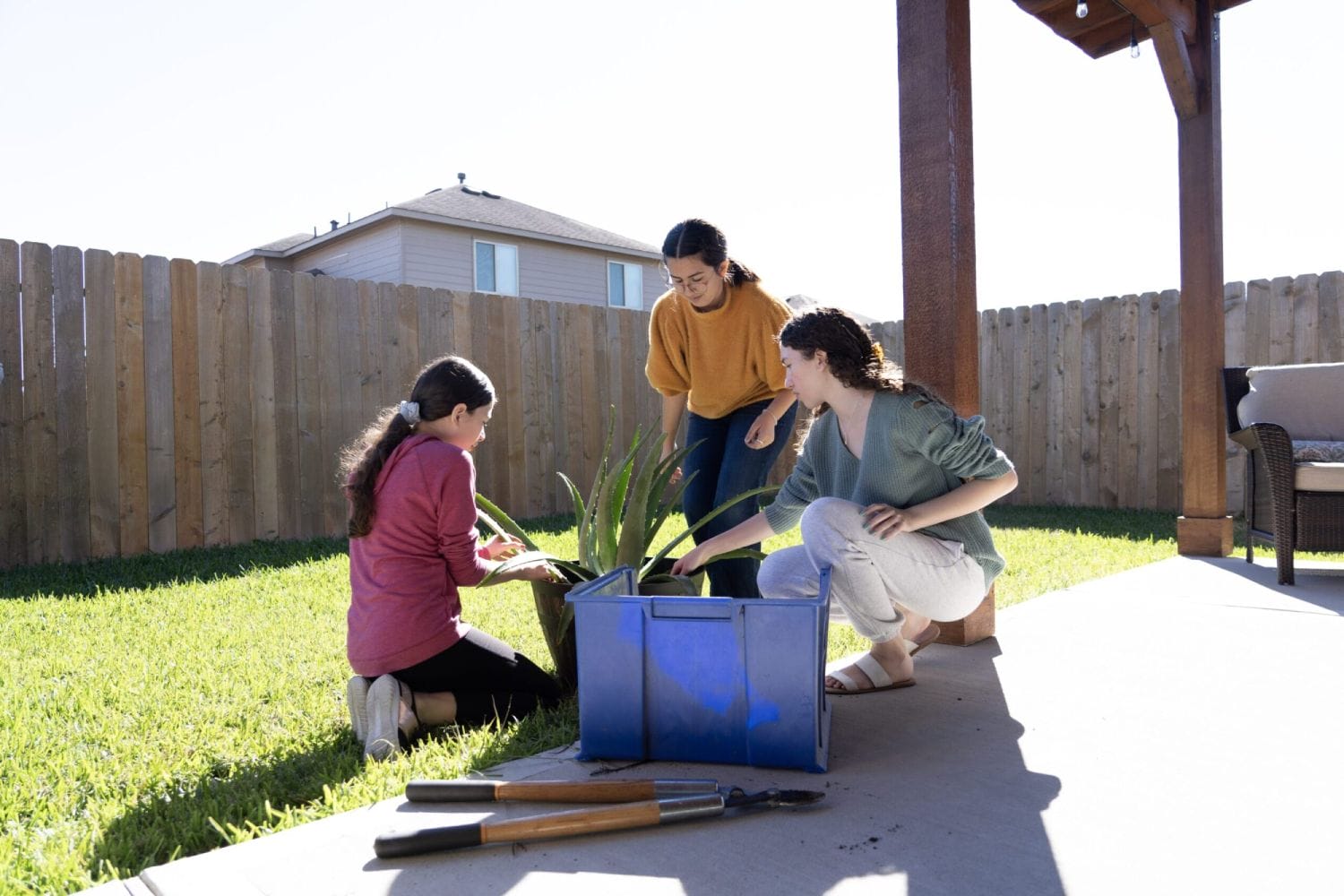 Three people garden on a sunny patio, tending to a potted plant. A fence and house are visible in the background, creating a relaxed atmosphere.