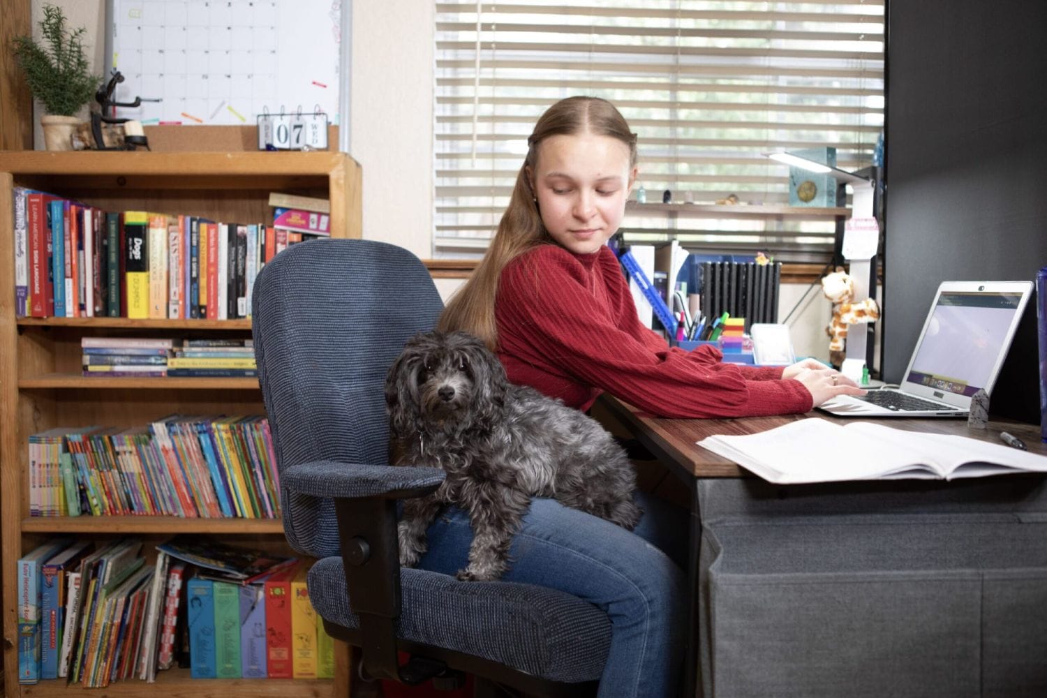 Young woman in a red sweater works at a laptop in a cozy home office. A small black dog sits on her lap. Shelves with colorful books are in the background.